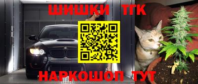 стаф Донской