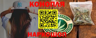 стаф Донской