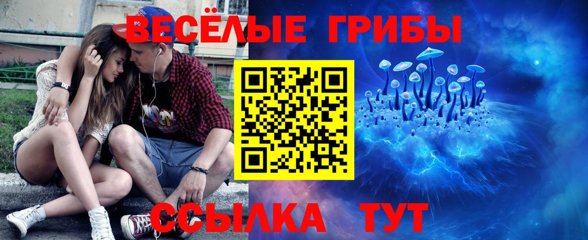 Псилоцибиновые грибы мухоморы Можайск