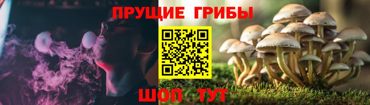 Можайск  Галлюциногенные грибы Magic Shrooms  Вход с VPN 